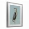 Stupell Industries Coastal Pelican Muted Blue Framed Print Under Glass, design by Julie DeRice